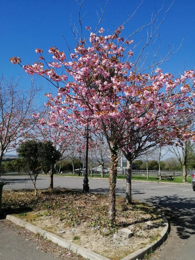 Tara View Apartments Garristown Dış mekan fotoğraf
